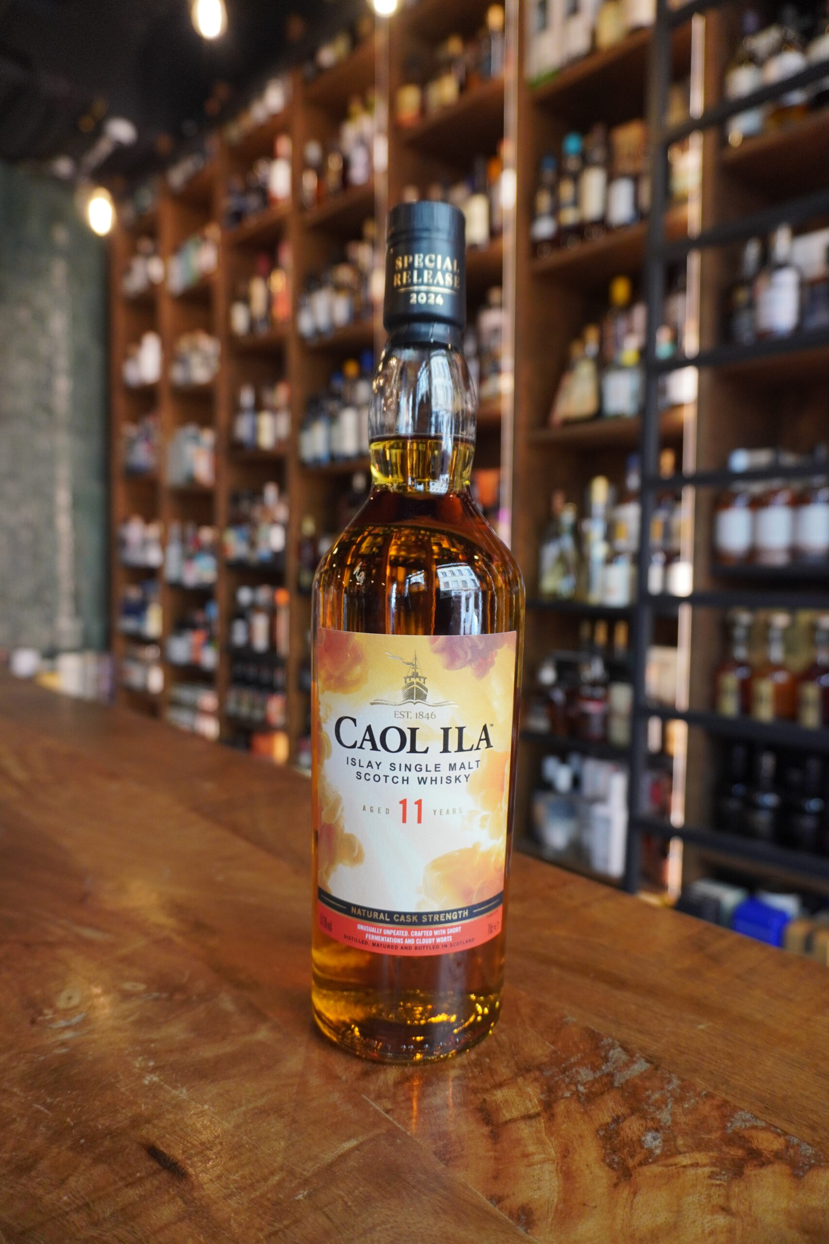 SPECIAL RELEASE 2024